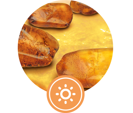 AMBRE